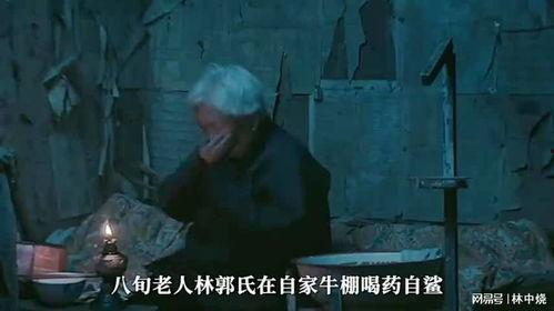 国产家庭伦理电影